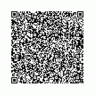 vCard 73533043291
