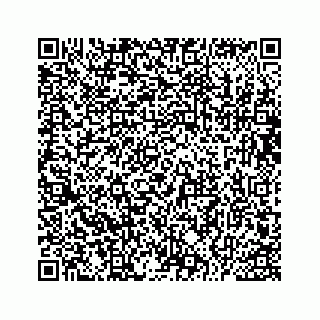 vCard 73533229240