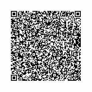 vCard 73533229303