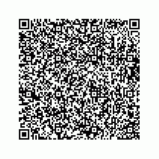 vCard 73533229395