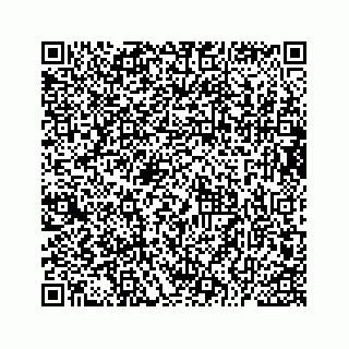 vCard 73533229413