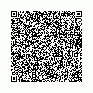 vCard 73533229453