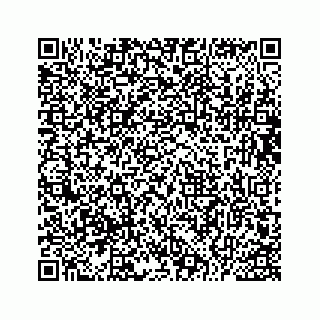 vCard 73533229500