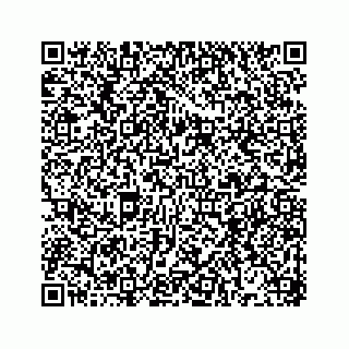 vCard 73533229568