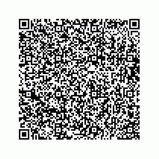 vCard 73533229688