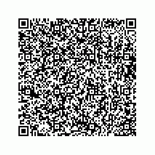vCard 73533229729