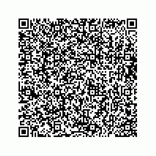 vCard 73533229799