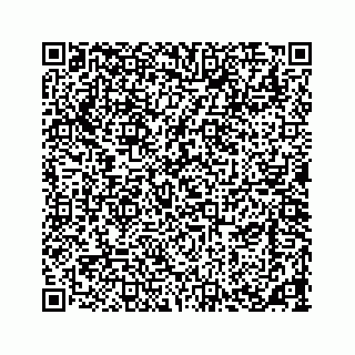 vCard 73533420013