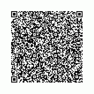 vCard 73533420020