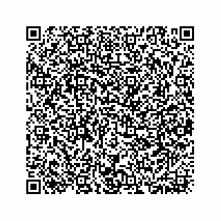 vCard 73533420039