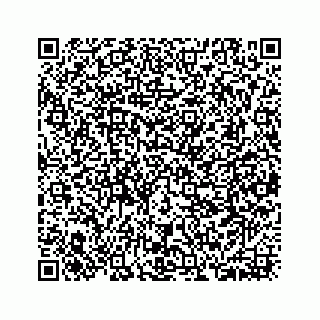 vCard 73533420078
