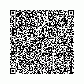 vCard 73533420079