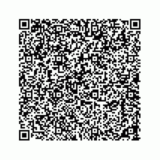 vCard 73533420099