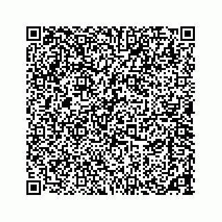 vCard 73533420119