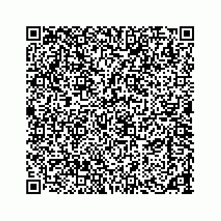 vCard 73533420128