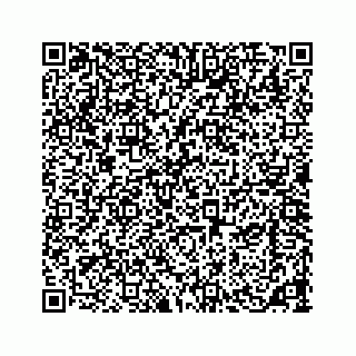 vCard 73533420129