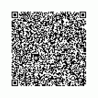 vCard 73533420138