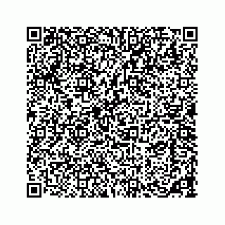 vCard 73533420139