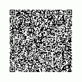 vCard 73533420271