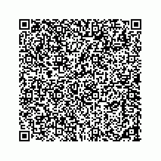 vCard 73533420272