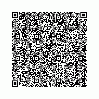 vCard 73533420273