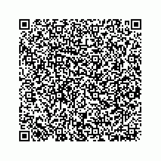 vCard 73533420275