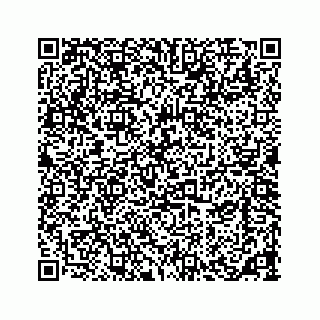 vCard 73533420279