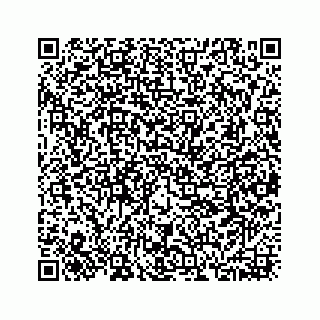 vCard 73533420281