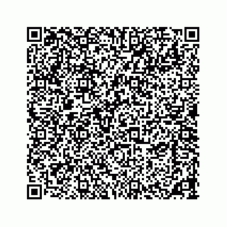 vCard 73533420285