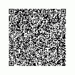 vCard 73533420287