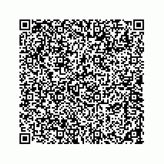 vCard 73533420288