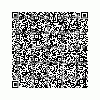 vCard 73533420299