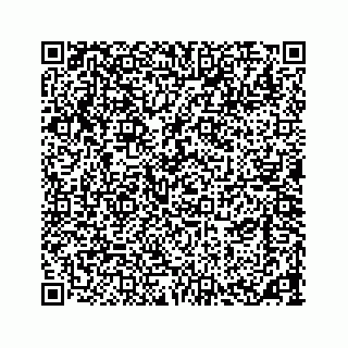 vCard 73533420304