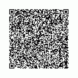 vCard 73533420305