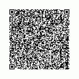 vCard 73533420319
