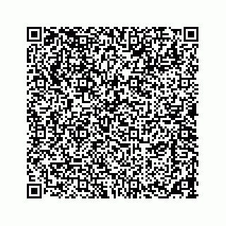 vCard 73533420321