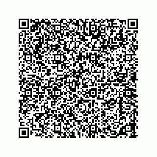 vCard 73533420330