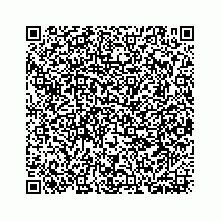 vCard 73533420373
