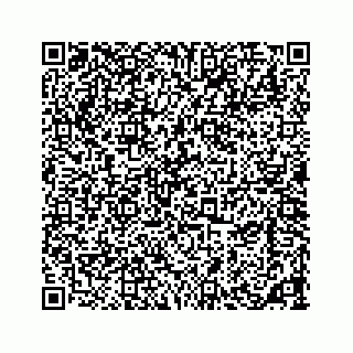 vCard 73533420377