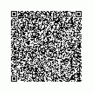 vCard 73533420379