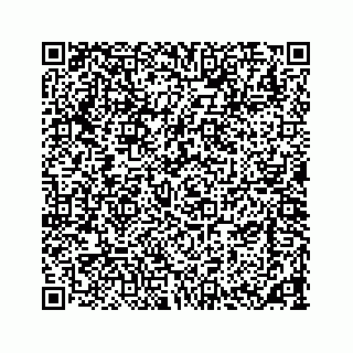 vCard 73533420382