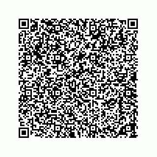 vCard 73533420384