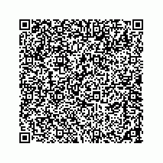vCard 73533420385