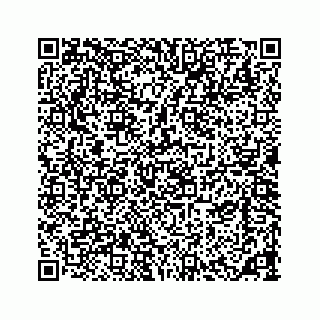vCard 73533420386