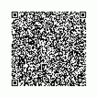 vCard 73533420387