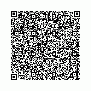 vCard 73533420389