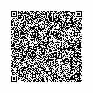 vCard 73533420395