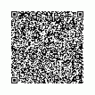 vCard 73533463111