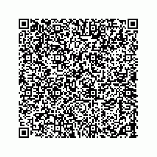 vCard 73533463117