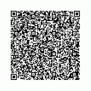 vCard 73533463119